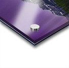 Castle Mountain in the Spotlight Acrylic print