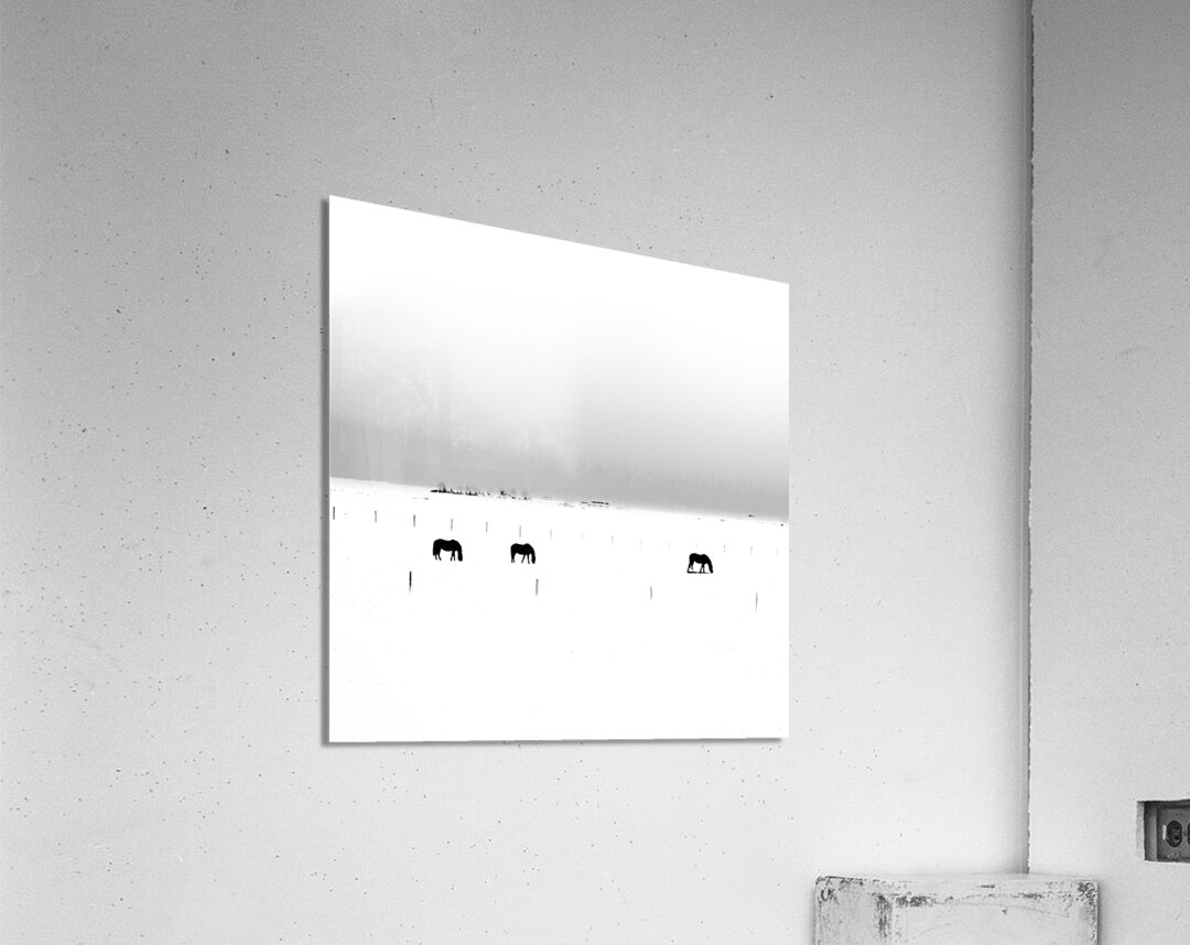 Wintering Horses Acrylic Print