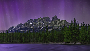Castle Mountain in the Spotlight