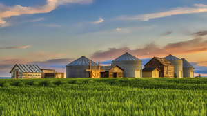 When The Sun Goes Down