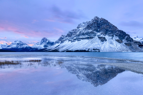Blue Morning at Bow Lake Print