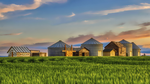 When The Sun Goes Down Print