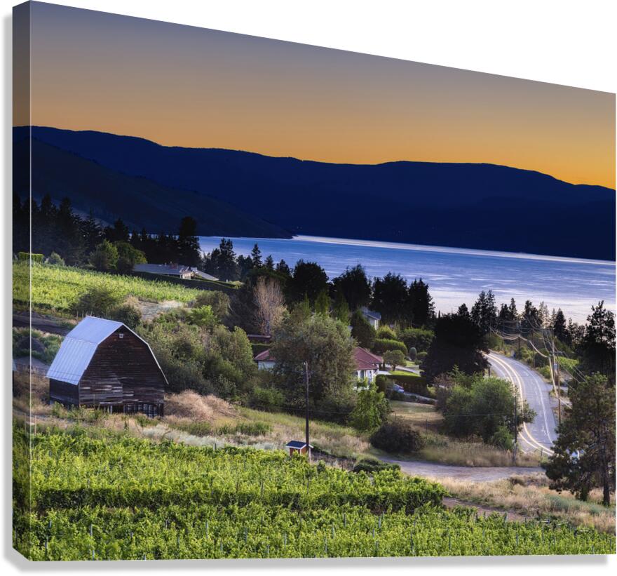 Time to Grow Canvas Print