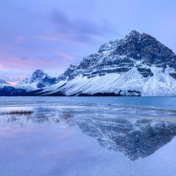 Blue Morning at Bow Lake