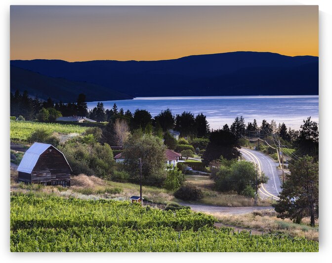 Time to Grow by Andrea Belcher