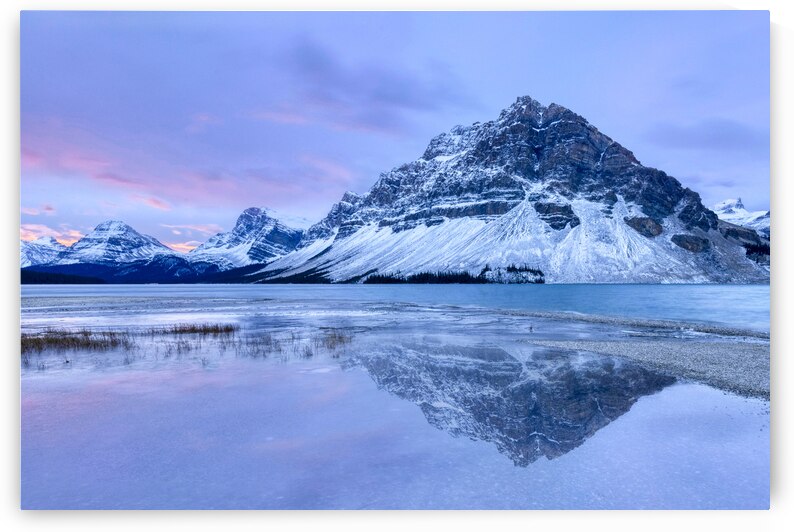 Blue Morning at Bow Lake by Andrea Belcher