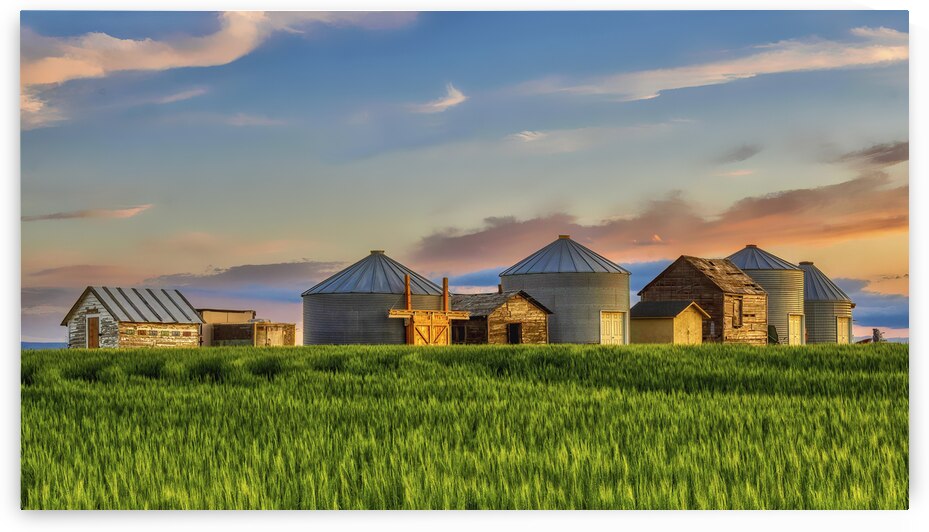 When The Sun Goes Down by Andrea Belcher