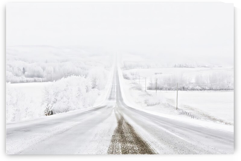 Snow Day by Andrea Belcher