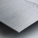 Snow Day Metal print