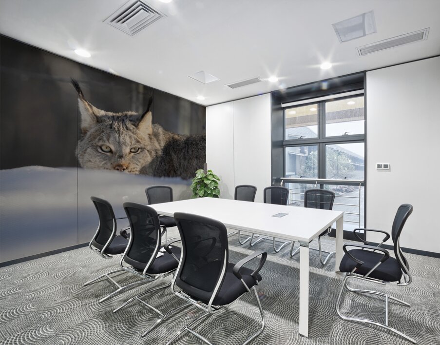 Glint In The Eye Wall Printing