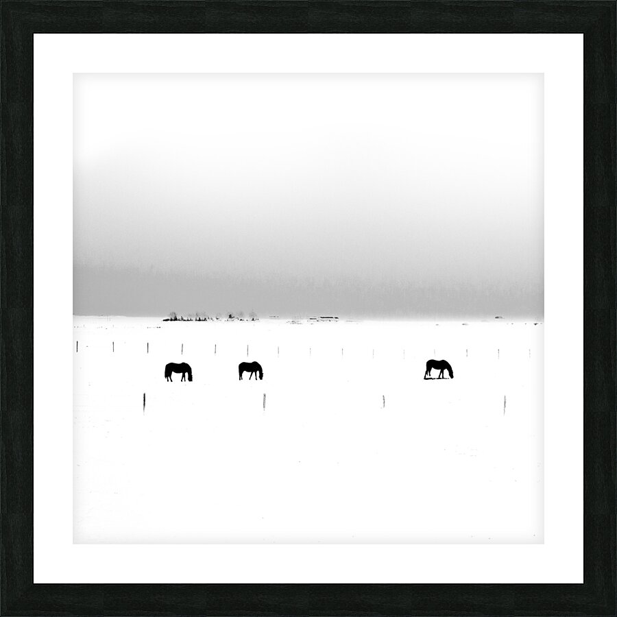 Wintering Horses Picture Frame print