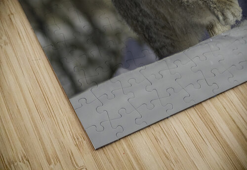 Yukon Lynx Andrea Belcher puzzle