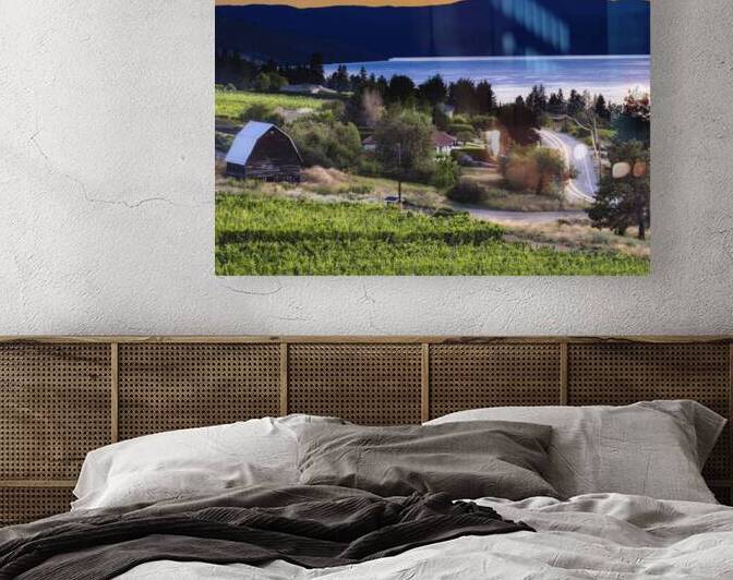 Time to Grow by Andrea Belcher