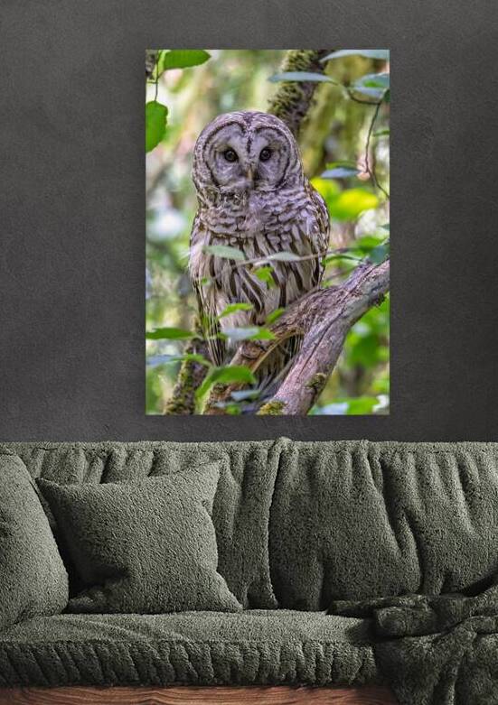 Observant by Andrea Belcher